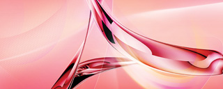 Adobe Reader