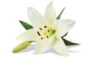 Dealing with bereavement