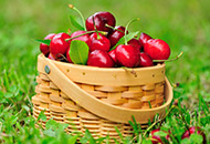Investment funds