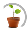 Growing your wealth